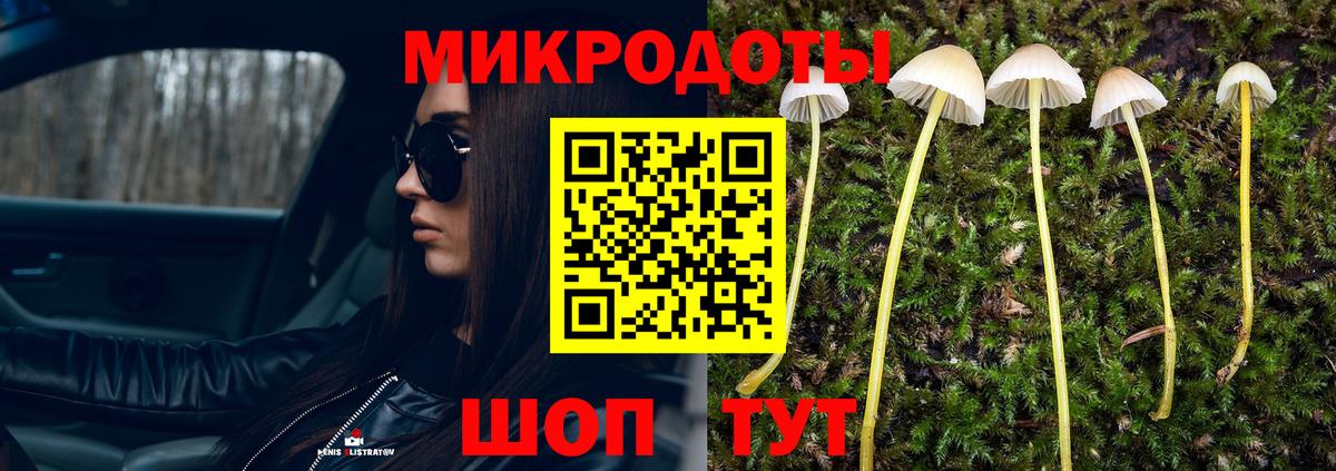 Псилоцибиновые грибы Magic Shrooms  Вход с VPN  Нерюнгри  Галлюциногенные грибы Magic Shrooms 
